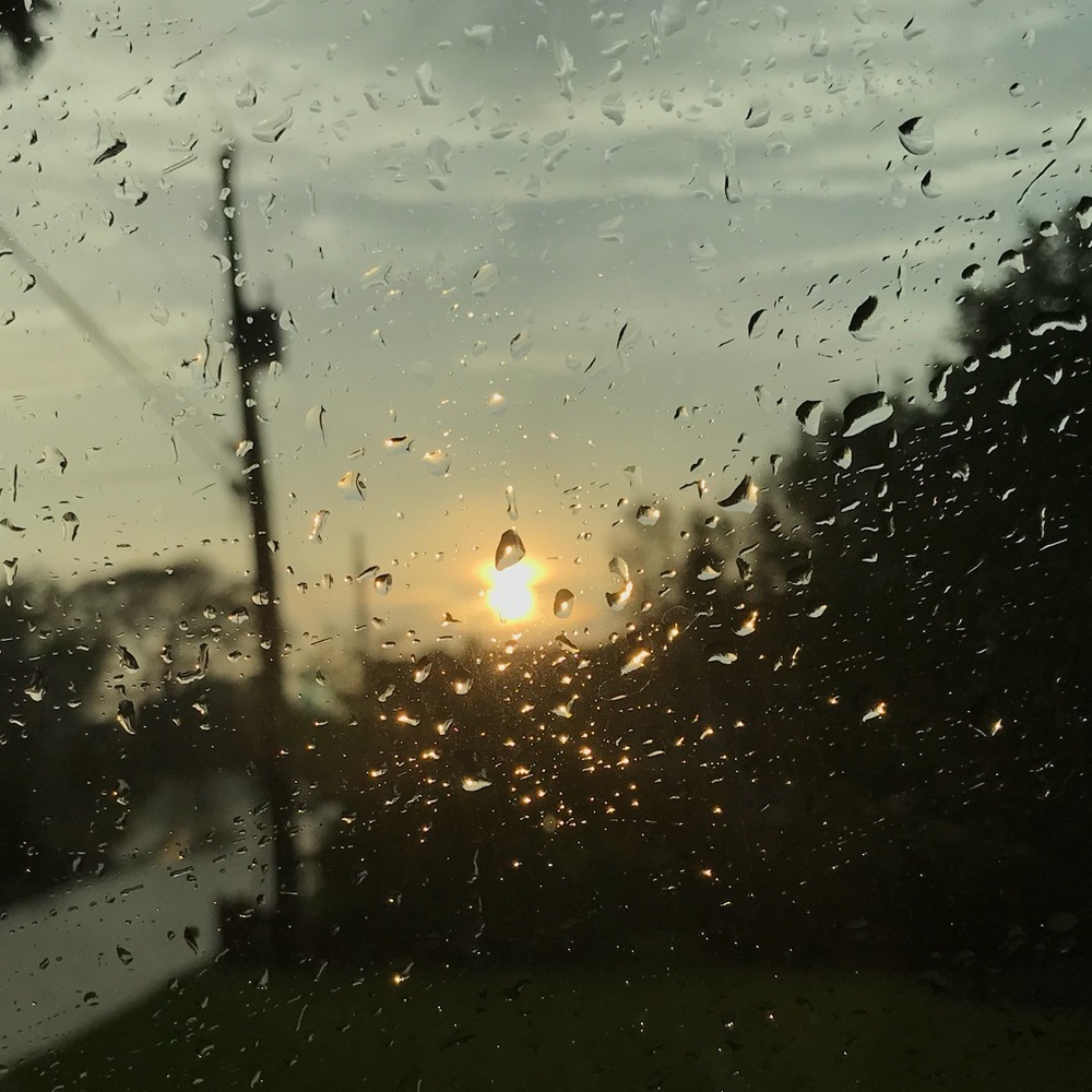 Meet your Posher, Mallie